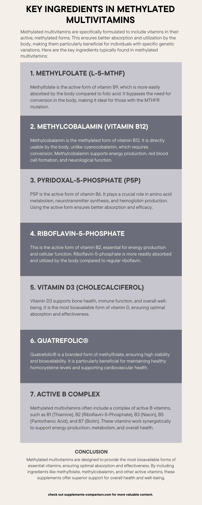 Key Ingredients in Methylated Multivitamins